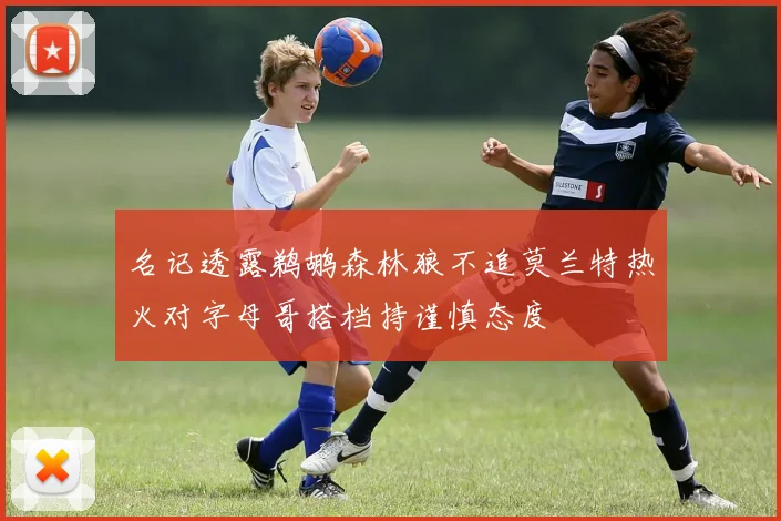 名记透露鹈鹕森林狼不追莫兰特热火对字母哥搭档持谨慎态度